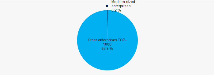 Picture 10. Shares of small and medium-sized enterprises in TOP-1000