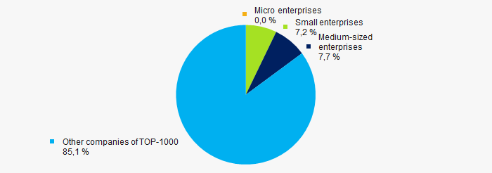 Picture 10. Shares of small and medium business enterprises revenue in TOP-1000
