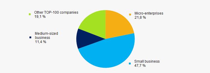 Picture 9. Shares of small and medium-sized enterprises in TOP-100