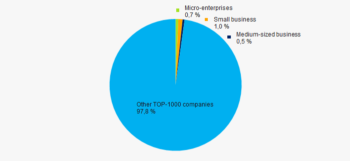 Picture 12. Shares of small and medium-sized enterprises in TOP-1000, %
