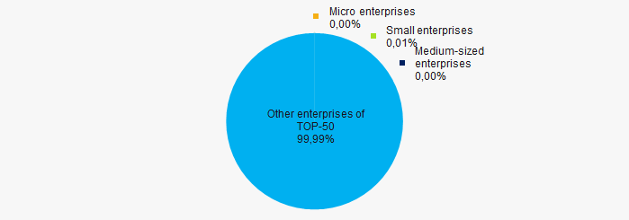 Picture 10. Shares of revenue of small and medium-sized enterprises in TOP-50