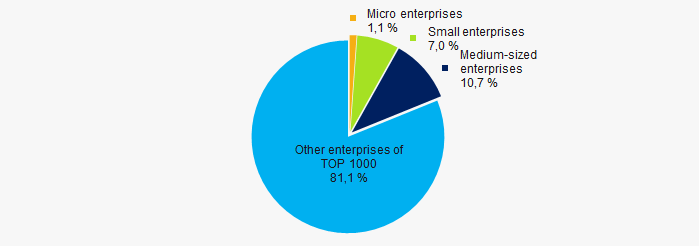 Picture 10. Shares of small and medium-sized enterprises in TOP 1000