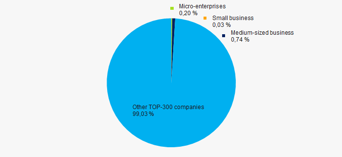 Picture 12. Shares of small and medium-sized enterprises in TOP-300, %