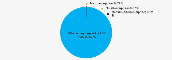 Picture 9. Revenue shares of small and medium-sized enterprises in the TOP-1000