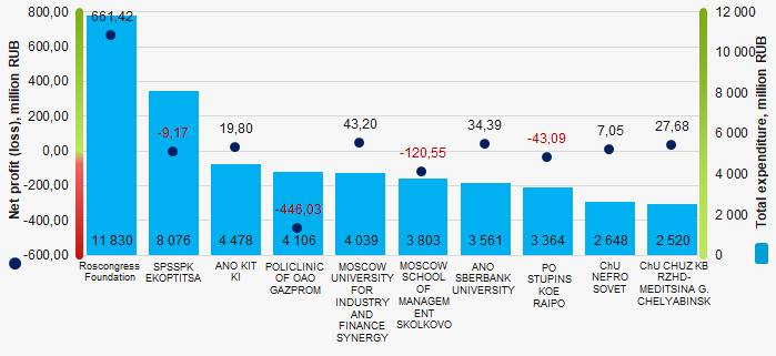 Picture 1. Total expenditure and net profit (loss) of TOP-10 non-profit enterprises