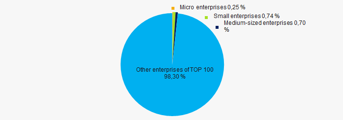Picture 10. Shares of small and medium-sized enterprises in TOP 100