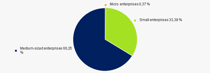 Picture 9. Shares of small and medium-sized enterprises in TOP 1000