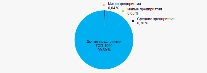 Picture 10. Shares of small and medium-sized enterprises in TOP 1000
