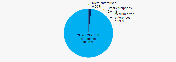 Picture 10. Shares of small and medium-sized enterprises in ТОP-1000