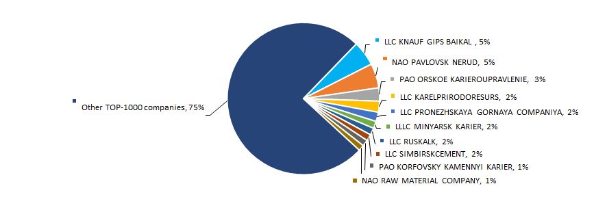 Picture 2. The shares of TOP-10 companies in TOP-1000 total revenue for 2016, %