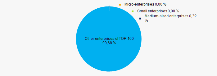 Picture 10. Revenue share of small and medium-sized enterprises in the TOP 100
